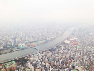 f:id:kaeru_geko:20130217010304j:image f:id:kaeru_geko:20130217010304j:image