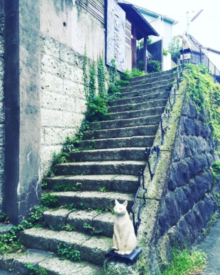 f:id:kaeru_geko:20160830152323j:image