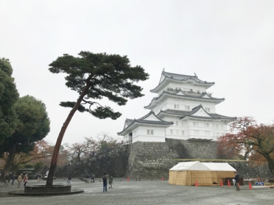f:id:kaeru_geko:20161126221223j:image
