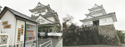 f:id:kaeru_geko:20161126221226j:image