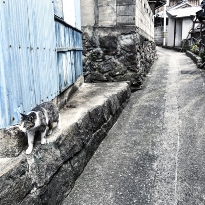 f:id:kaeru_geko:20170209181227j:image