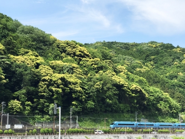 f:id:kaeru_geko:20180520170821j:image f:id:kaeru_geko:20180520170821j:image
