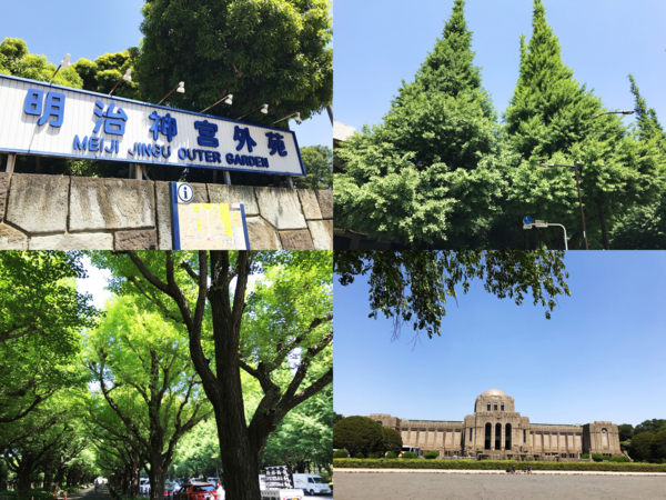 f:id:kaeru_geko:20180520180631j:image f:id:kaeru_geko:20180520180631j:image