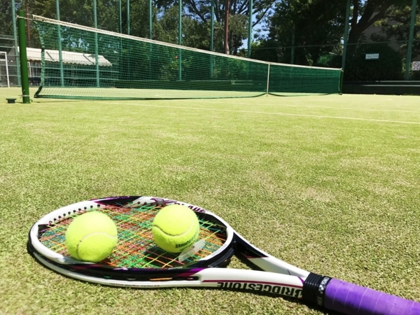 f:id:kaeru_geko:20180520180632j:image f:id:kaeru_geko:20180520180632j:image