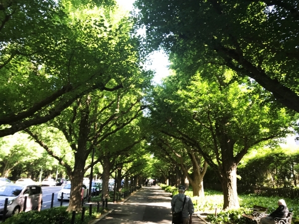 f:id:kaeru_geko:20180520180637j:image f:id:kaeru_geko:20180520180637j:image