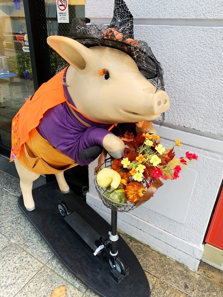 f:id:kaeru_geko:20181025163827j:image