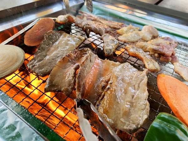 f:id:kaeru_geko:20181115184517j:image f:id:kaeru_geko:20181115184517j:image