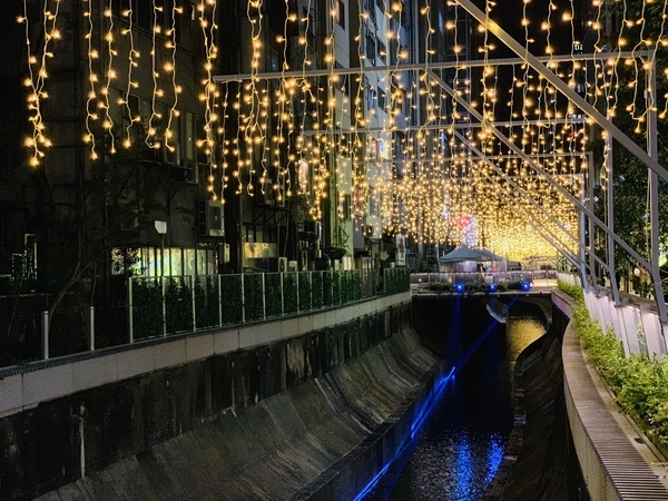 f:id:kaeru_geko:20181224173819j:image