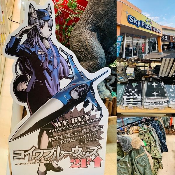 f:id:kaeru_geko:20190106152715j:image f:id:kaeru_geko:20190106152715j:image