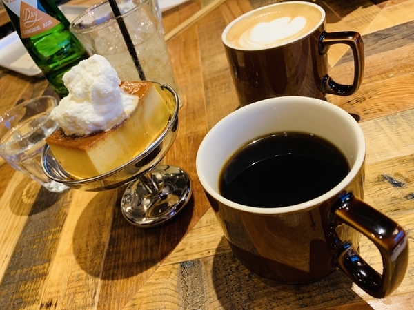 f:id:kaeru_geko:20190131012100j:image