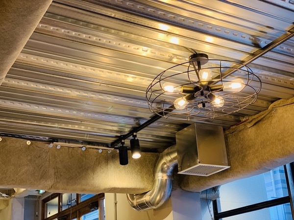 f:id:kaeru_geko:20190131012101j:image