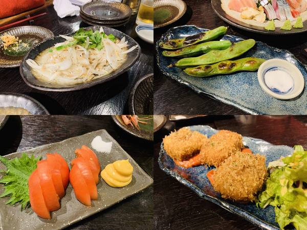 f:id:kaeru_geko:20190306002444j:image