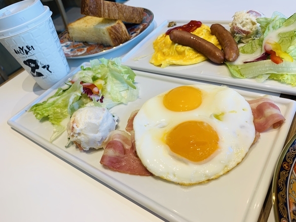 f:id:kaeru_geko:20190326171459j:image