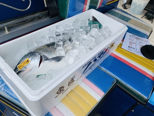 f:id:kaeru_geko:20190501155849j:image f:id:kaeru_geko:20190501155849j:image