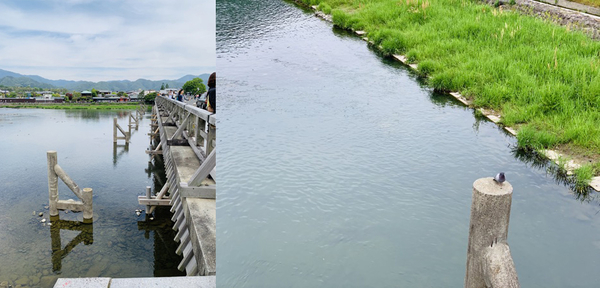 f:id:kaeru_geko:20190521150747j:image f:id:kaeru_geko:20190521150747j:image