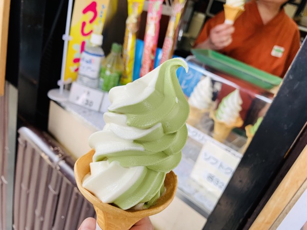 f:id:kaeru_geko:20190521150756j:image f:id:kaeru_geko:20190521150756j:image