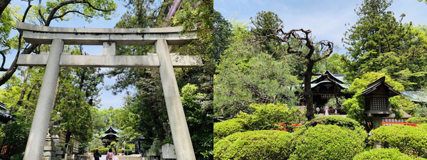 f:id:kaeru_geko:20190521150759j:image f:id:kaeru_geko:20190521150759j:image