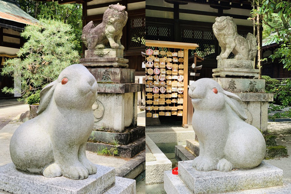 f:id:kaeru_geko:20190521150802j:image f:id:kaeru_geko:20190521150802j:image