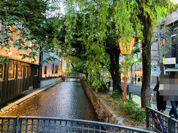 f:id:kaeru_geko:20190521150816j:image f:id:kaeru_geko:20190521150816j:image
