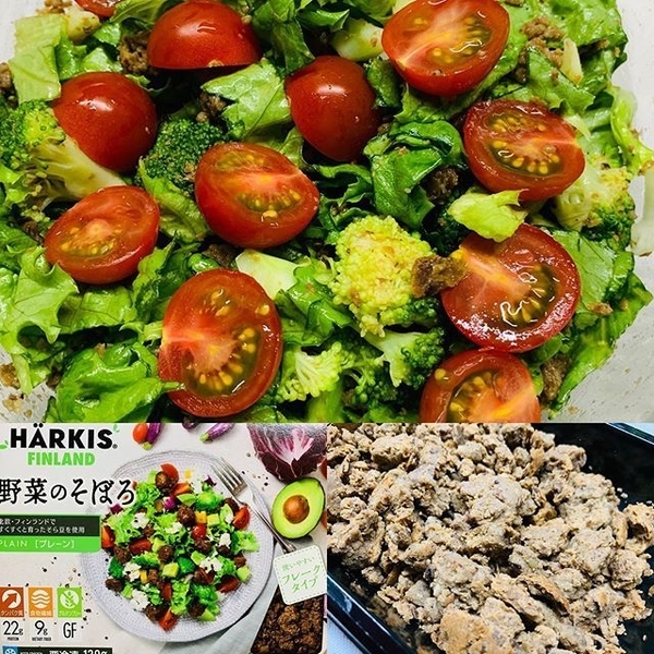 f:id:kaeru_geko:20190528222457j:image