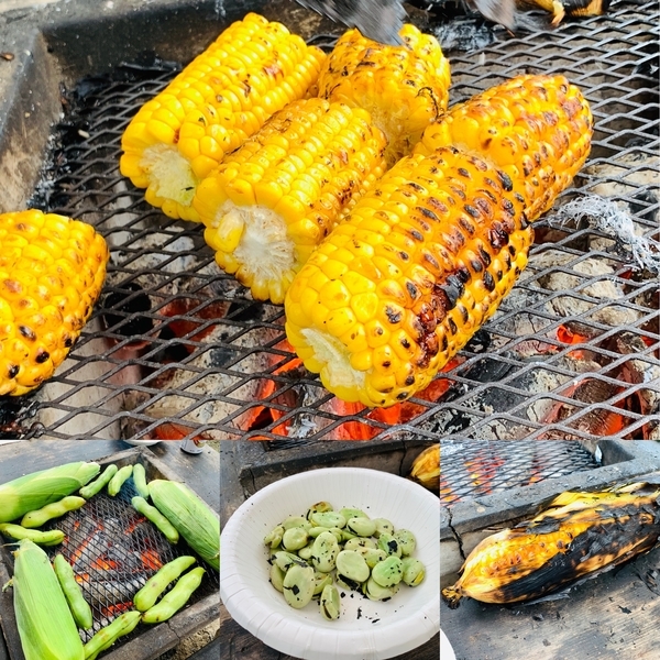 f:id:kaeru_geko:20190715105843j:image f:id:kaeru_geko:20190715105843j:image