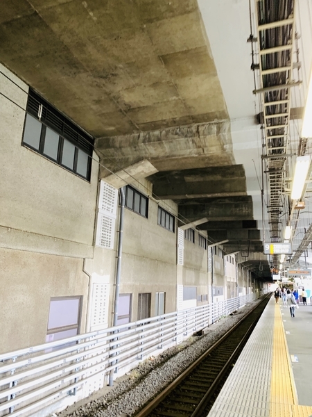f:id:kaeru_geko:20190715105907j:image f:id:kaeru_geko:20190715105907j:image