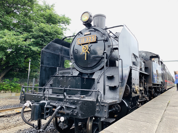 f:id:kaeru_geko:20190715105928j:image f:id:kaeru_geko:20190715105928j:image