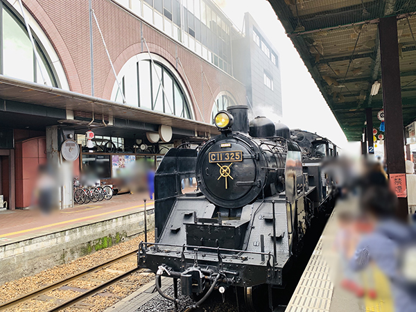 f:id:kaeru_geko:20190715110003j:image f:id:kaeru_geko:20190715110003j:image