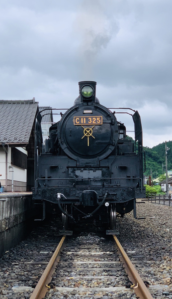 f:id:kaeru_geko:20190715110020j:image f:id:kaeru_geko:20190715110020j:image
