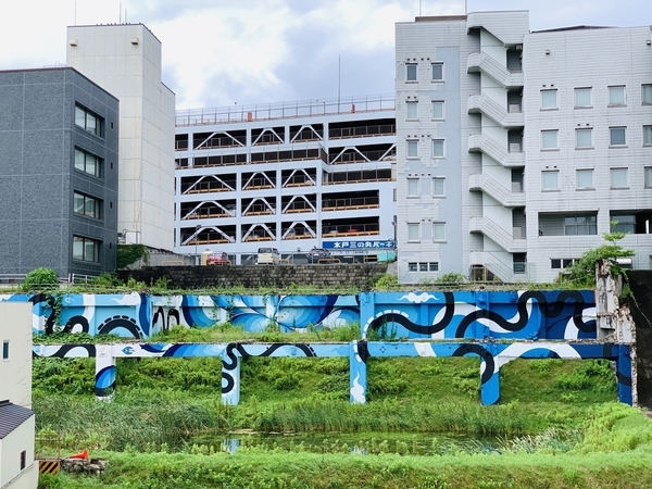 f:id:kaeru_geko:20190806224357j:image f:id:kaeru_geko:20190806224357j:image