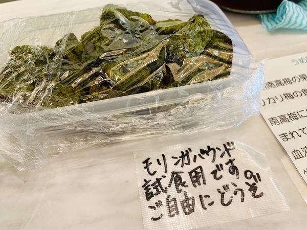f:id:kaeru_geko:20190909135913j:image