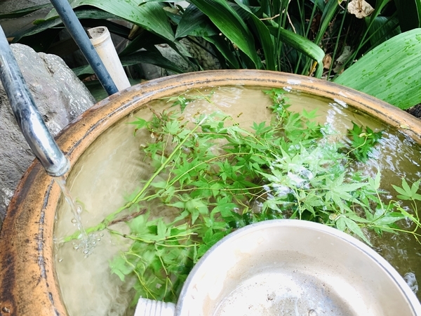 f:id:kaeru_geko:20191020231601j:image