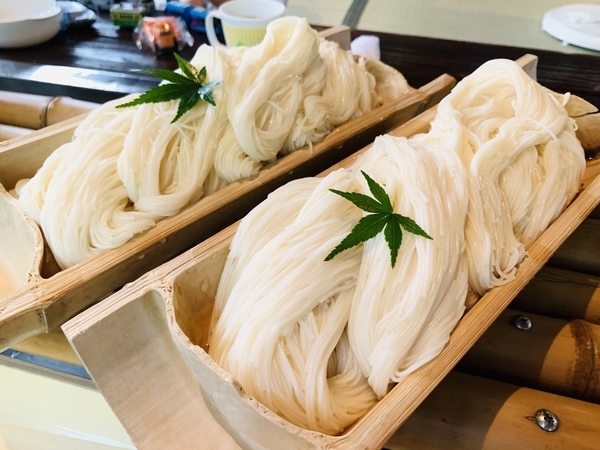 f:id:kaeru_geko:20191020231620j:image