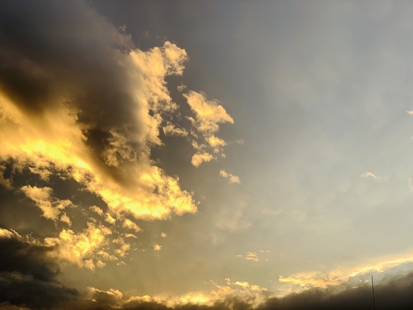 f:id:kaeru_geko:20191115190206j:image