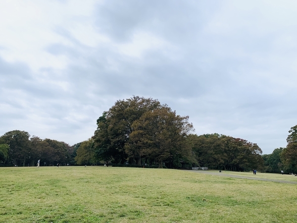 f:id:kaeru_geko:20191124155353j:image f:id:kaeru_geko:20191124155353j:image
