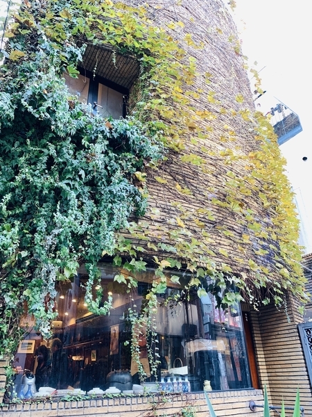 f:id:kaeru_geko:20191210224456j:image