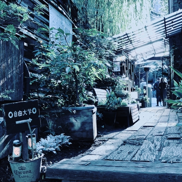 f:id:kaeru_geko:20191211204318j:image
