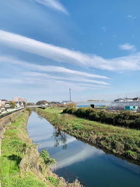 f:id:kaeru_geko:20191212141040j:image