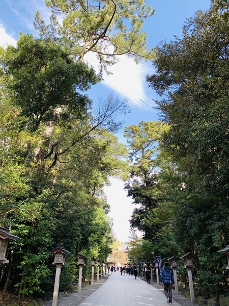 f:id:kaeru_geko:20191212141047j:image
