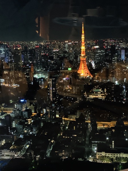 f:id:kaeru_geko:20191228185431j:image