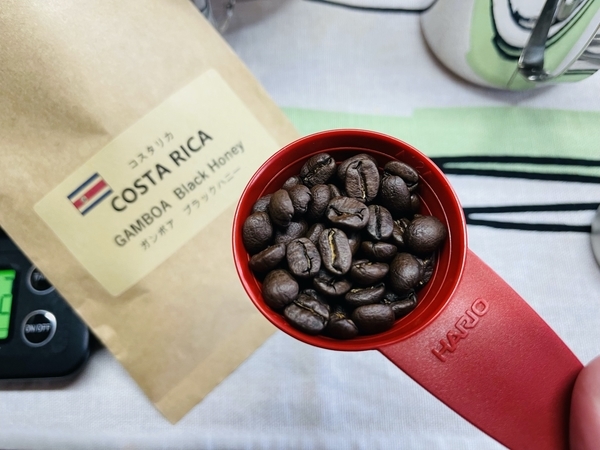 f:id:kaeru_geko:20210923221648j:image