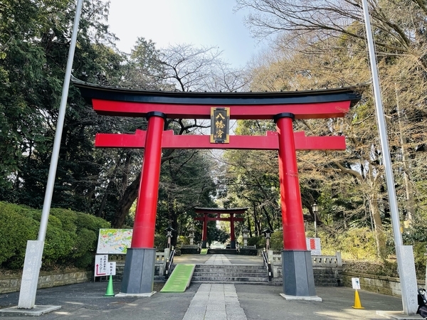 f:id:kaeru_geko:20220313100921j:image