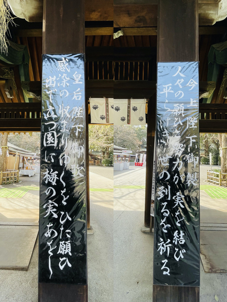 f:id:kaeru_geko:20220313100951j:image