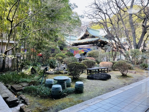 f:id:kaeru_geko:20220313101005j:image