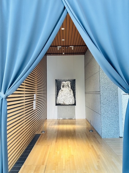 日本現代美術私観：高橋龍太郎コレクション - カエルニッキ