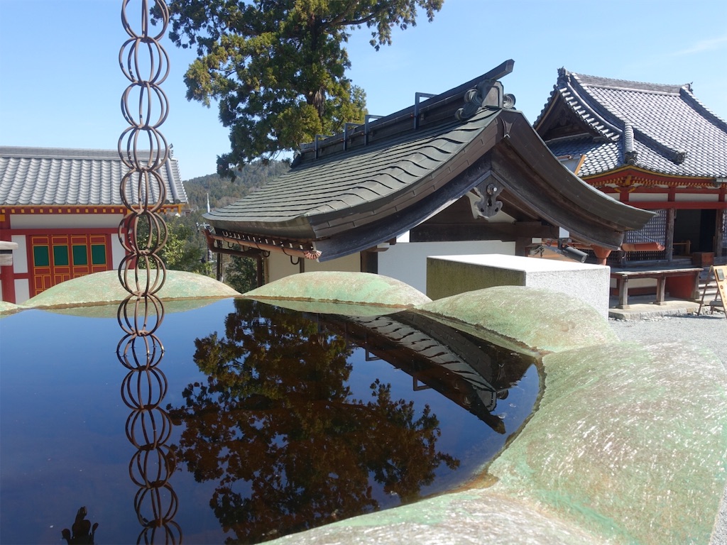 f:id:kaeru_tencho:20190316173655j:image