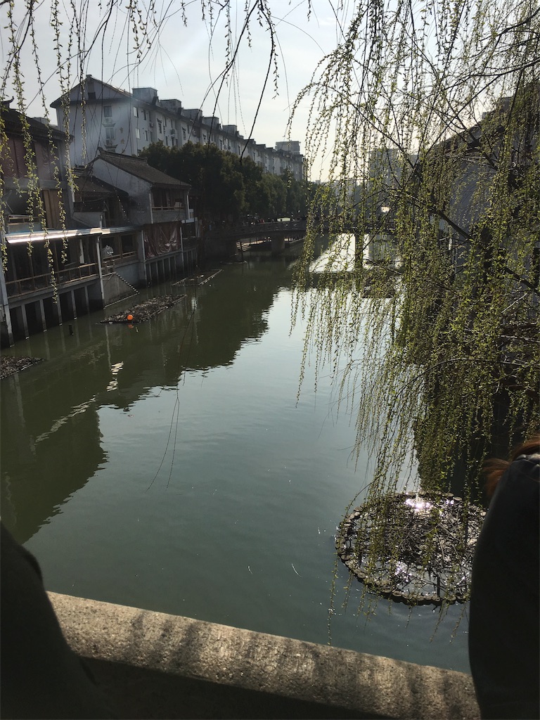 f:id:kaeru_tencho:20190317192313j:image