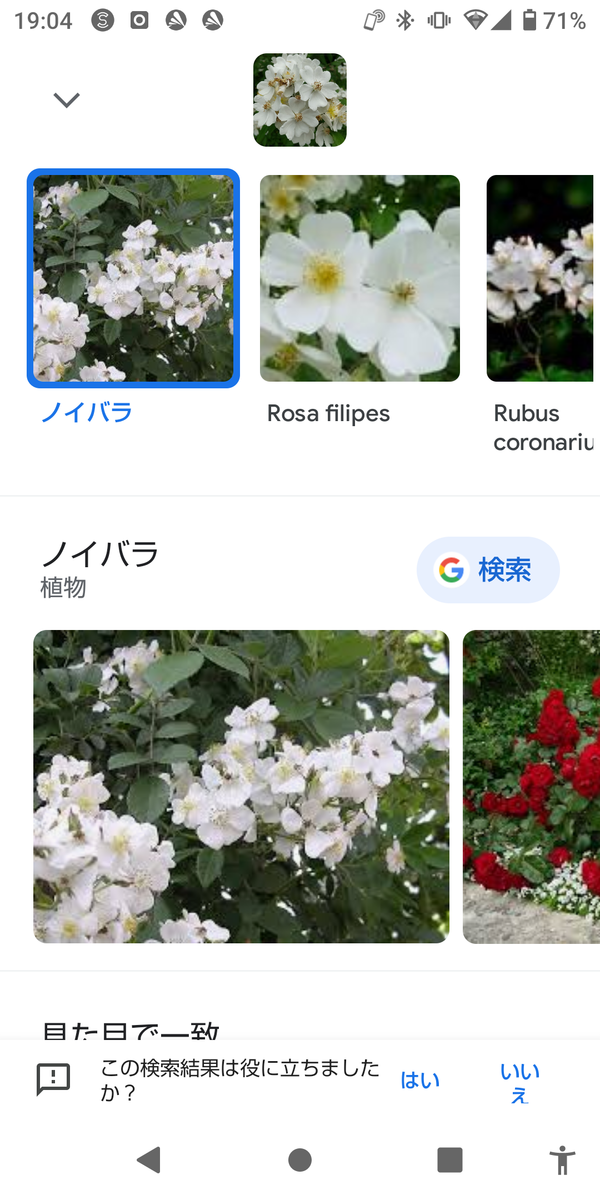 おっさんブログkaerumoney日記googlerenz