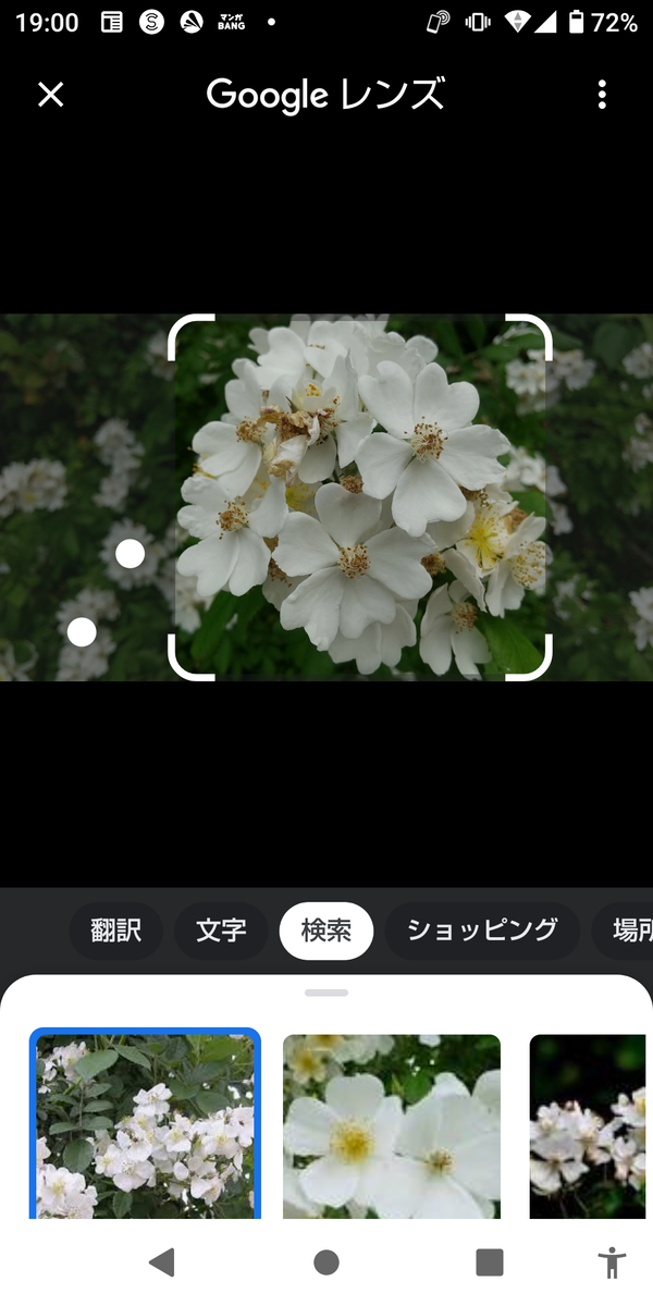 おっさんブログkaerumoney日記Googleレンズ