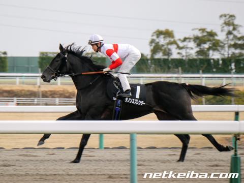 f:id:kaerun4451:20190511024802j:plain f:id:kaerun4451:20190511024802j:plain